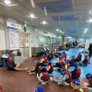 용인대 사랑가득 태권도장 | 용인대 경일태권도, 태권도복 벗고 수영복 입은 날! 첨벙첨벙 즐거운 하루💦😆