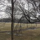 바디 앤 소울 이미지