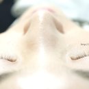 라비앤래쉬 이미지