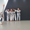 서운태권도장 이미지