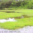 주생면 낙동마을 이미지