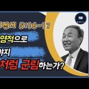 한국교계에 성경대로 믿고 행하는 교회, 목사, 단체, 조직, 소속 교인들은 단 하나도 존재하지 않는다! 이미지