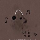 민해동물병원 | 시험관 1차 동결이식 당일 5일배양 1개 이식 후기 비용 증상 공유