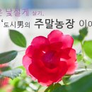 리언농장 이미지