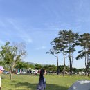 황산공원 캠핑장 오토사이트 이미지