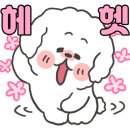 성현동-37 이미지