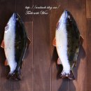 총각네초밥 이미지