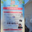 박종옥 | 2025 서울K-가족축제 마지막날 후기
