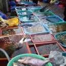 동피랑길 이미지