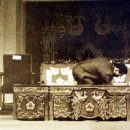 박정희로-4 네이버블로그
