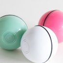 MIN 피트니스 이미지