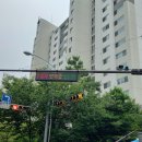 주정차단속-124 이미지