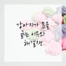 대경동물병원 | 연수구동물병원에서 알아보는 강아지의 이상행동, 문 긁는 이유는?