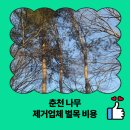 춘천시 재해문자-04 | 춘천 나무 제거업체 벌목 비용
