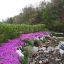 냉정리 마을회관 이미지