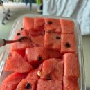 몽땅꾸이꾸이 이미지