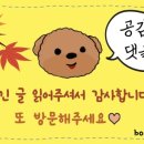 석수반점 이미지