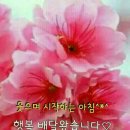 마직 이미지