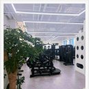 제이스타짐 | [송도헬스장] 다이어트 동기부여 제대로 받은 제이스타짐 PT 후기!