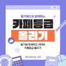 몽키애드 | 네이버카페 등급올리기 몽키애드를 찾을때
