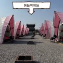 백야드 | 서울 근교 당일치기 글램핑, 히든백야드 바베큐 솔직 후기