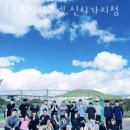 크로스핏시그넷 | 법환동헬스장 서귀포헬스 PT 피티 크로스핏시그넷 신시가지점 가격 주차 후기