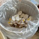 본가 건하은칼국수 이미지