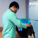 손빛한의원 이미지