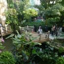 거제식물원 이미지