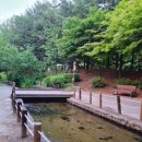 상록아파트산책로 이미지