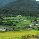 화양강휴게소 이미지