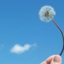 강내과의원 이미지