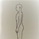 바른선 네이버블로그