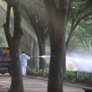 케이에스병원 이미지