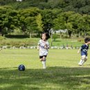 켄싱턴리조트 가평 이미지