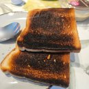 스위스 그린델발트 스키 후기 초보