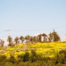 상예동-8 이미지