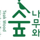 나무와 숲 이미지