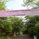 율원1천 네이버블로그