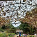 홍천군노인복지관 이미지