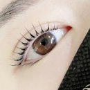 Beautyon(뷰티온)