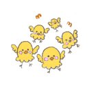 삐약이네숯불구이