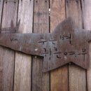 빨간여우 이미지