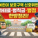 시립달미어린이집 횡단보도 | 어린이 보호구역 신호위반 과태료 13만원, 범칙금·벌점까지 한 번에 정리