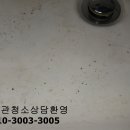 교촌2길 21 이미지
