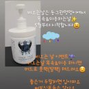 동그란 멍멍이 이미지