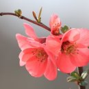 신강한의원 이미지