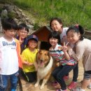 하연영재과학교습소 - 서초구 신반포로 165 | 하연영재과학교습소