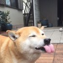낼름