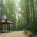 7080잔치국수 이미지